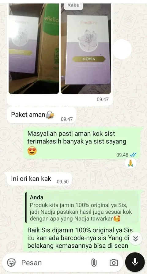 Bukti chat paket Novia sampai 1
