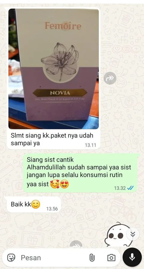 Bukti chat paket Novia sampai 2