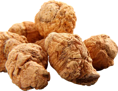 Maca