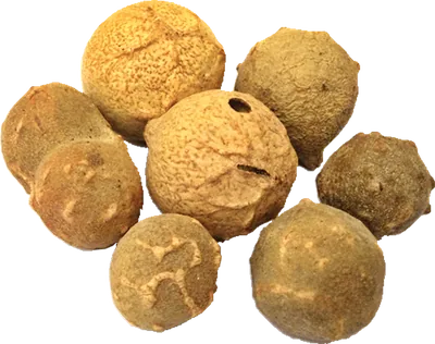 Manjakani